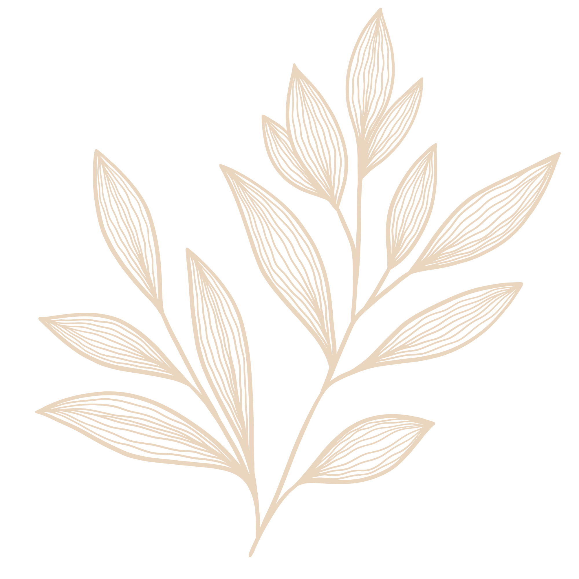 leaf3